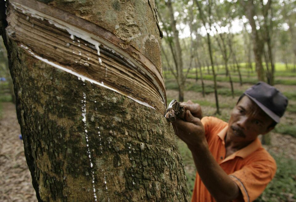 State-run Vietnam Rubber Group (VRG) has approved a plan to sell 25 percent of the company in an initial public offering, worth an estimated 12.8 billion dong ($563 million), it said on Tuesday (26/09).(Reuters Photo/Tarmizy Harva)