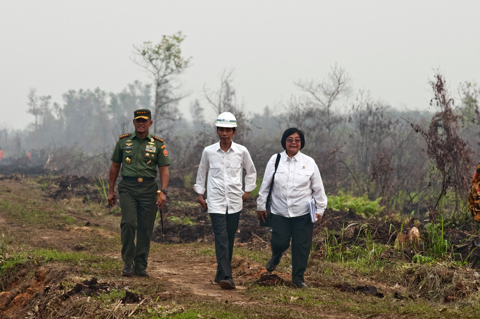 President Joko Widodo, center, seen with Armed Forces (TNI) Commander Gen. Gatot Nurmantyo, left, and Forestry Minister Siti Nurbaya, inspecting the site of a wildfire in Riau in October last year. (Antara Photo/F.B. Anggoro)