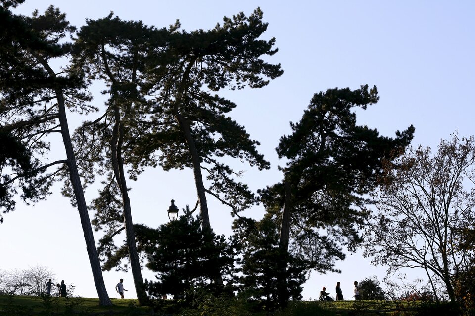 Trees are seen in silhouette as people make their way along a ridge in the Buttes-Chaumont Park in Paris. (Reuters Photo/John Schults)