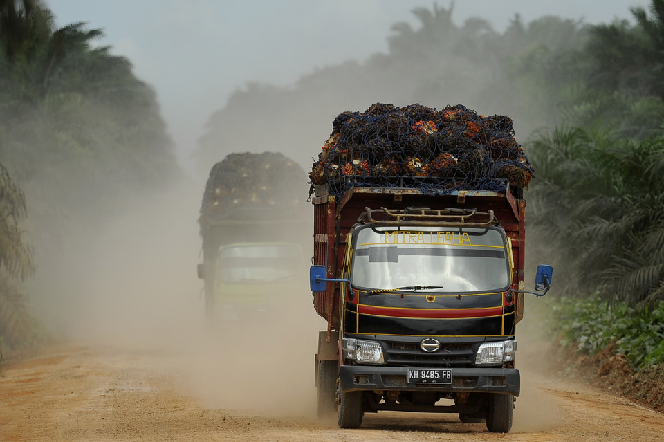 Indonesia's crude palm oil (CPO) output likely dropped in February, extending the decline into a third straight month, a Reuters survey showed.  (Antara Photo/Puspa Perwitasari)