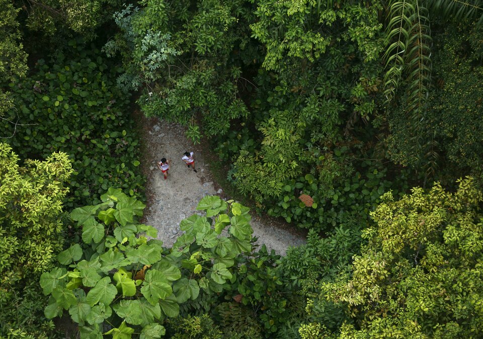 The Ministry of Environment and Forestry has launched a new project to improve forest management and help out communities living near forest areas in Indonesia. (Reuters Photo/Edgar Su)