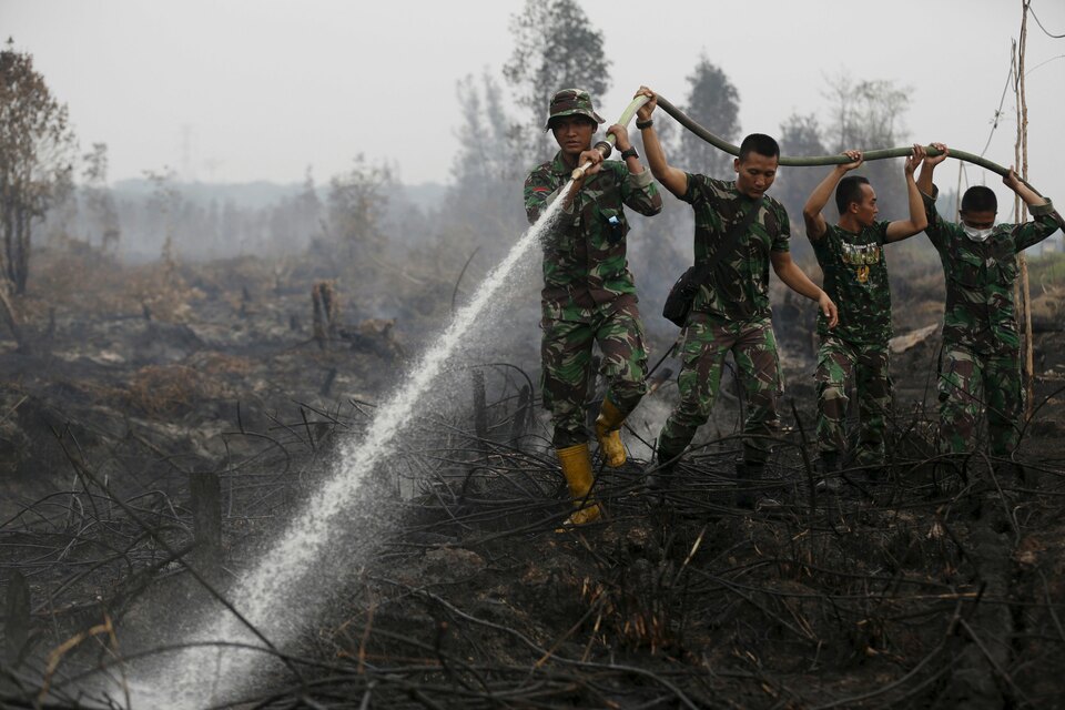  A fire engulfed four hectares of peatland in Pulau Muda, Riau, police said on Friday (09/02). (Reuters Photo/Darren Whiteside)