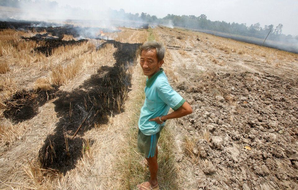 A farmer burns his dried-up rice on a paddy field stricken by drought in Soc Trang province in Mekong Delta in Vietnam. (Reuters Photo/Kham)