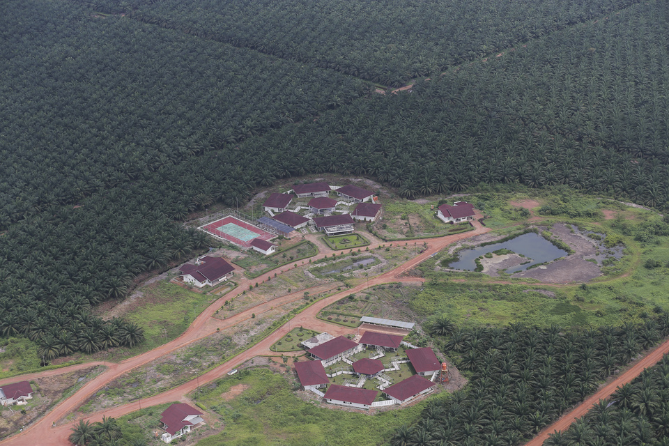 An aerial photo of palm oil plantations in Musi Banyuasin district, South Sumatra, in this June 11 file photo. The government will soon issue a presidential instruction that would serve as legal basis for a five-year moratorium on new palm oil concessions as part of the country's effort to reduce the negative impact of the plantations on the environment. (Antara Photo/Nova Wahyudi)