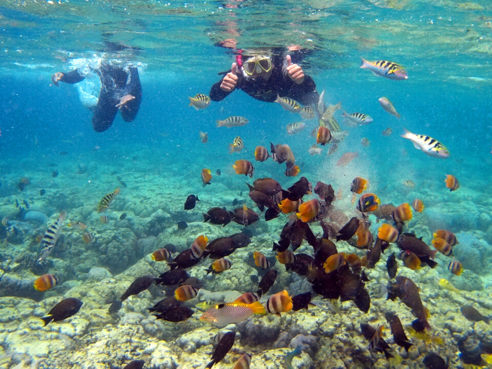 Indonesia won the Dive Magazine Travel Awards for the world's top destination and best dive center and resort for 2017, the Ministry of Tourism said on Friday (03/11). (Beritasatu.com Photo/Danung Arifin)