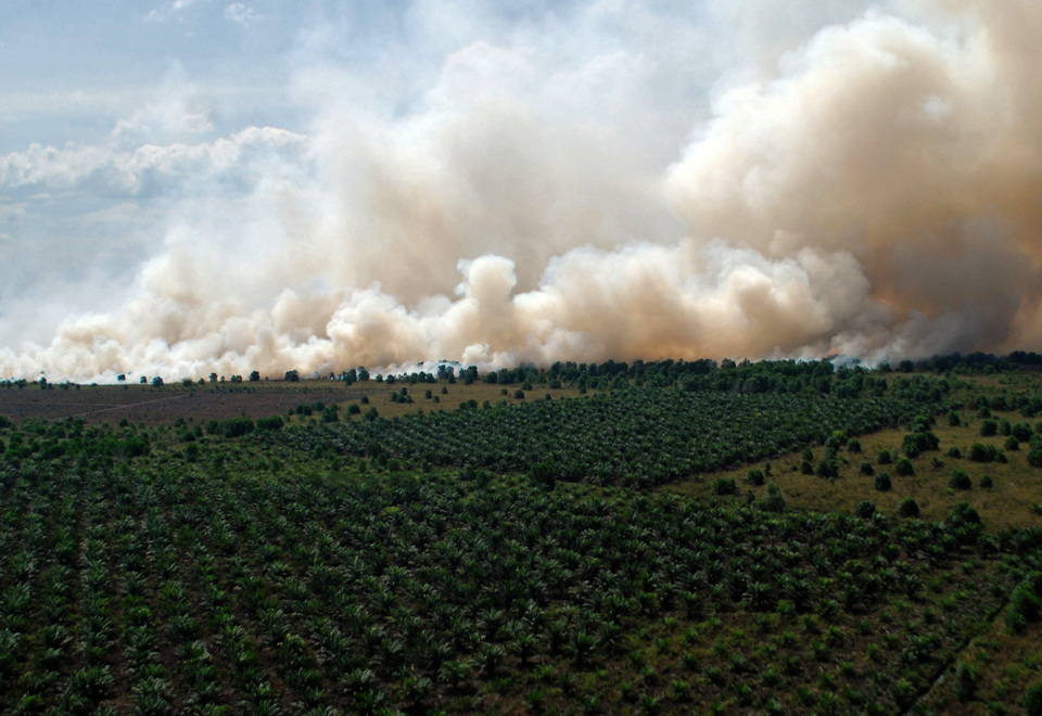 A working committee at the House of Representatives tasked with investigating terminated police probes into Riau wildfires has found the cases were dropped on the testimony of unqualified experts and marred by conflicts of interest. (Antara Photo/Rony Muharrman)