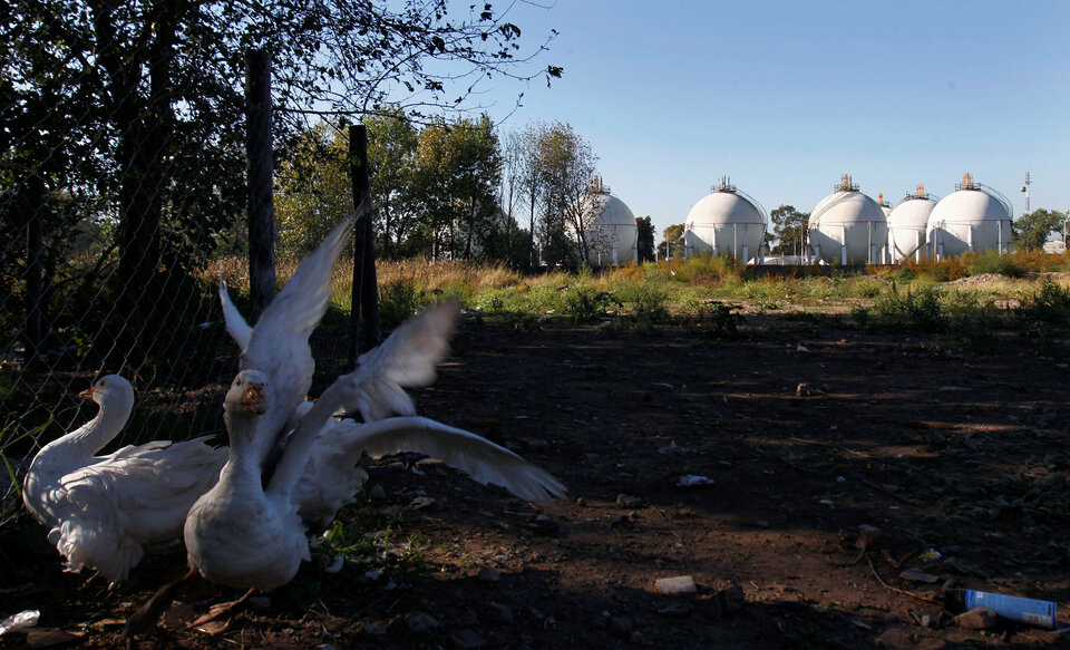 Geese are seen near liquefied gas tanks at the General Belgrano gas processing plant of YPF Gas in San Justo, on the outskirts of Buenos Aires, Argentina April 19, 2012. (Reuters Photo/Marcos Brindicci)