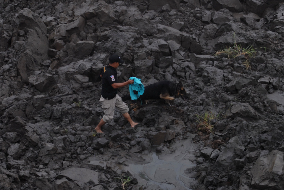 A member of a search and rescue team uses a sniffer dog to search for the 50-year-old Alun, who was buried by a landslide in Titisan village in Sukabumi district, West Java, on Friday afternoon (02/09). Four people were injured in the landslide, which was triggered by sand mining activities. (Antara Photo/Budiyanto)