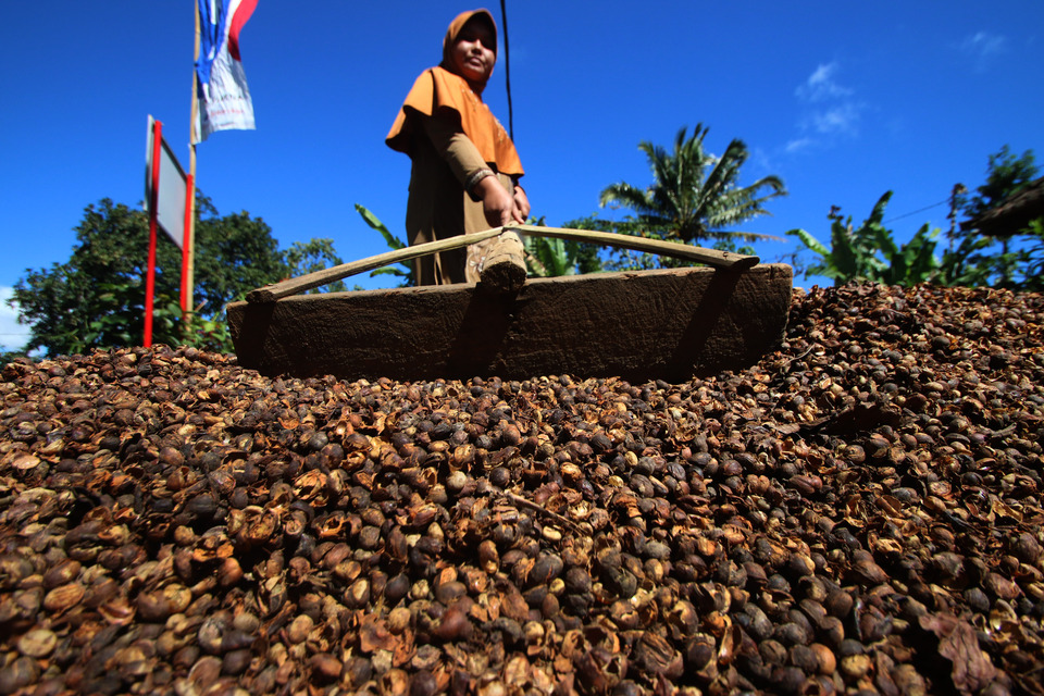 Indonesia's imports of coffee beans are expected to climb this year as production shrinks due to extreme weather, according to industry stakeholders, with more beans needed to feed a steady growth in domestic demand amid tight supplies from local farmers. (Antara Photo/ivan Awal Lingga)