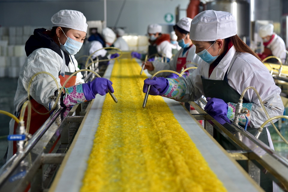 Employees work at a food processing factory in Yichang, Hubei province, January 17, 2016. (Reuters Photo/Stringer)