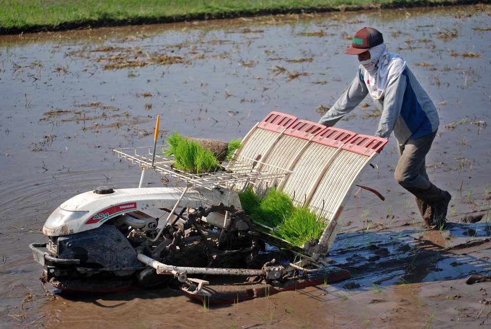Farmers plant rice seedlings using a machine in Kalasan, Sleman, Yogyakarta, on Monday (28/11). The planter machines increase productivity and cut costs. (Antara Photo/Pradana Aditya Putra)

