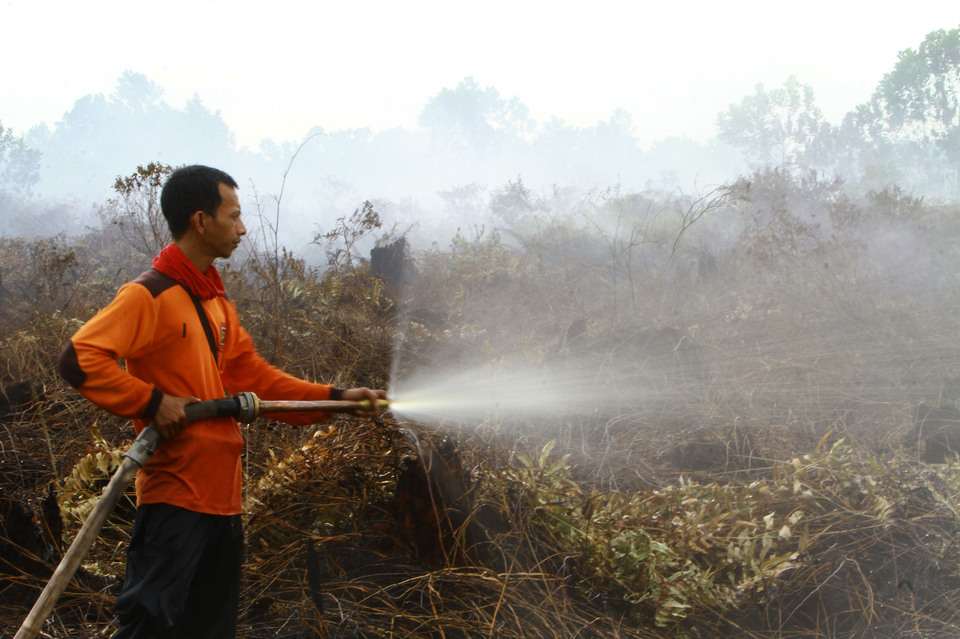 The Peatland Restoration Agency (BRG) has estimated Indonesia’s peat-land could generate a revenue of $16 billion (Rp 214 trillion) from carbon trading that should help the country to preserve its delicate biosphere and plug the deficit in its external balance. (Antara Photo/Sheravim)