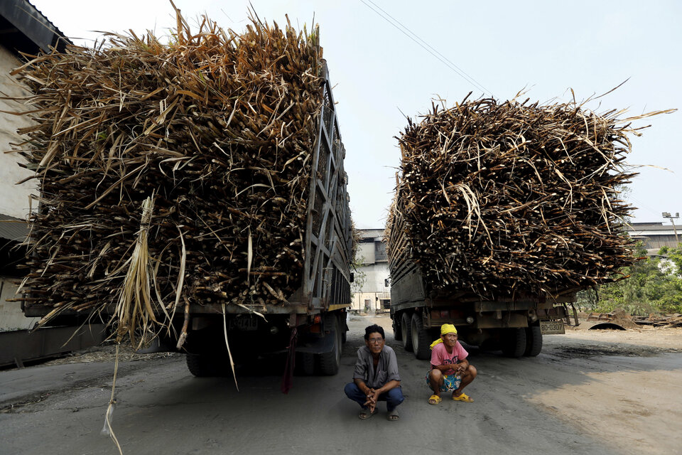 Sugar output for 2016-17 in Thailand, second-biggest exporter of the sweetener, is expected to fall 3.1 percent due to a widespread drought last year that forced some cane farmers to switch crops, a government agency said on Tuesday (17/01). (Reuters Photo/Jorge Silva)