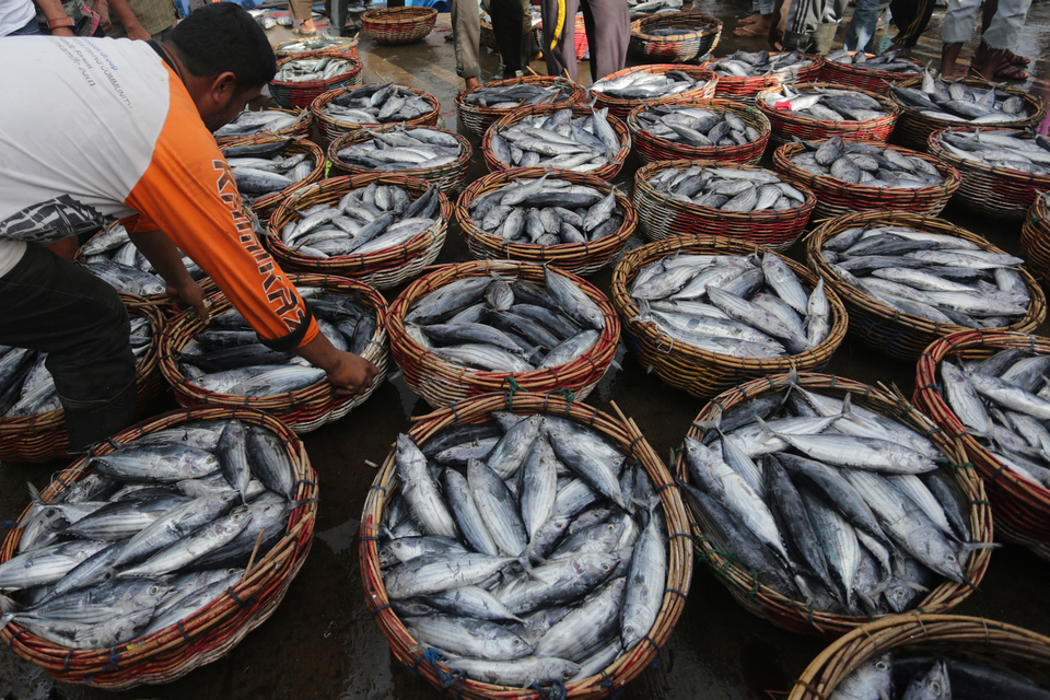 Dua Putra Utama Makmur, a listed fishery company, projects revenue to grow by a third and net income by a fifth next year, as it increases production and expands to new export markets. (Antara Photo/Irwansyah Putra)