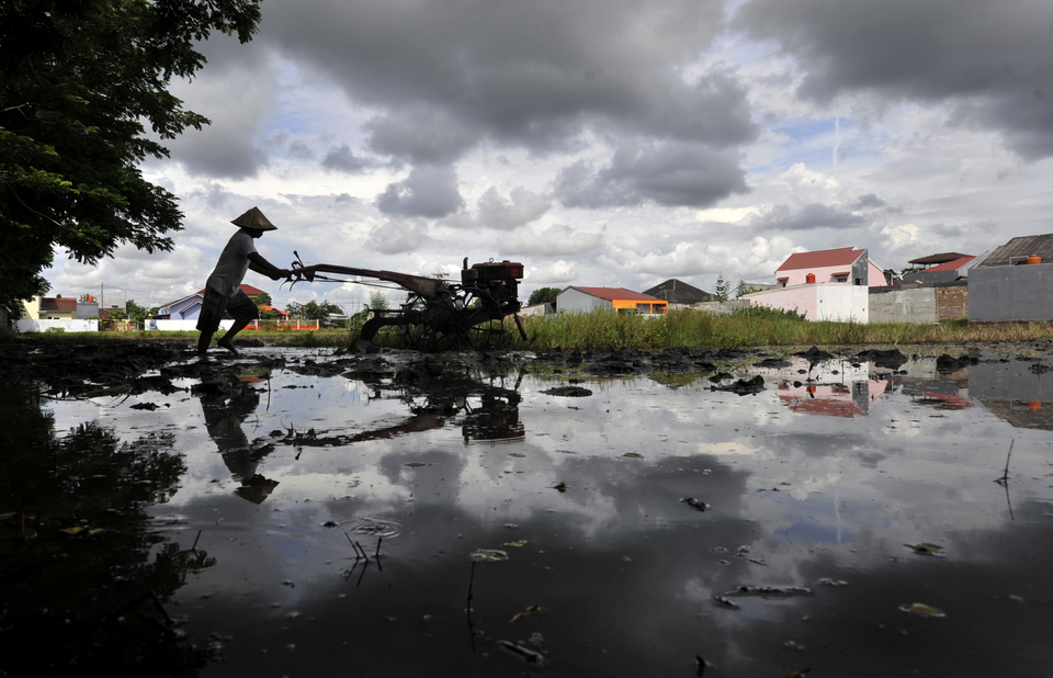 A farmer plows his rice field with a hand tractor in Gowa, South Sulawesi, on Wednesday (30/11). (Antara Photo/Yusran Uccang)