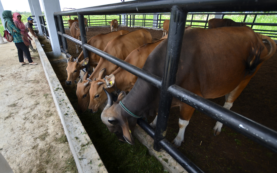 The government is planning to develop Indonesia's notorious prison island Nusakambangan into a cattle farm next year. (Antara Photo/Wahdi Septiawan)