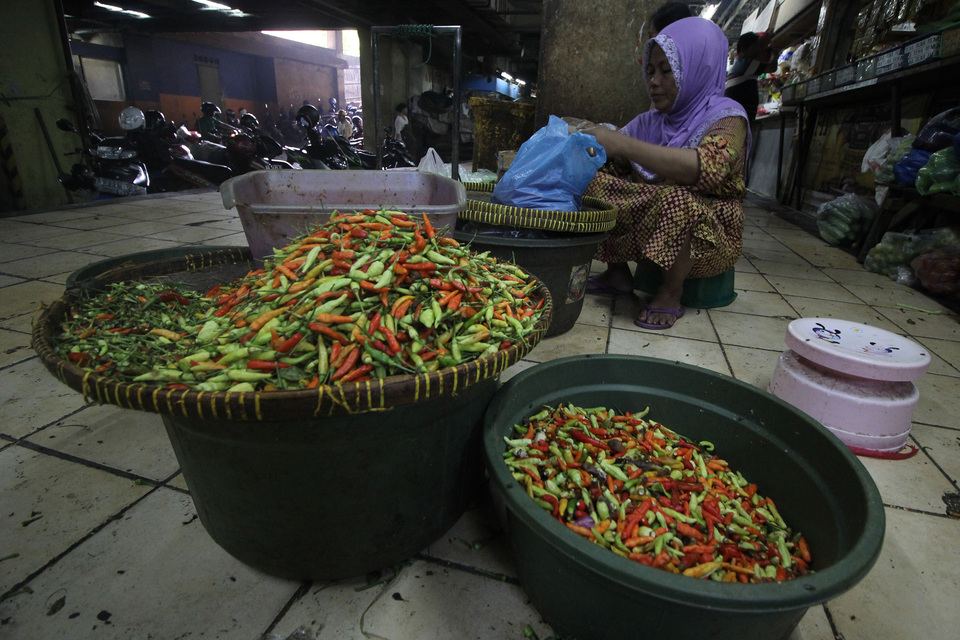 A seller sorts bird's eye chilies at a market in Surabaya, East Java, on Saturday (07/01). (Antara Photo/Moch Asim)