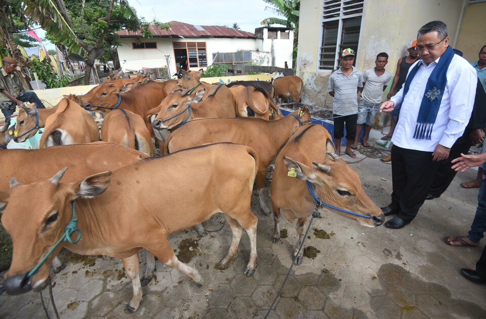 Disadvantaged Regions and Transmigration Eko Putro Sandjojo examines the cattle bought with the village budget funds in Ayula Selatan Village, Bone Bolango, Gorontalo, on Friday (13/01). Since village funds have been successful in boosting rural economy, the government will increase their budgets by 25 percent in 2017. (Antara Photo/Akbar Nugroho Gumay)