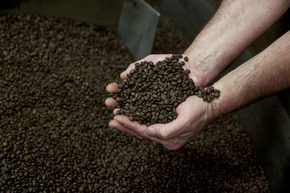 The 2017 Toba Coffee Festival, scheduled to take place at Sipinsur Park in Samosir, North Sumatra,  on Dec. 2-3, will introduce the diversity of Indonesian coffee, while also seeking to attract more foreign tourists. (Reuters Photo/Philippe Wojazer)