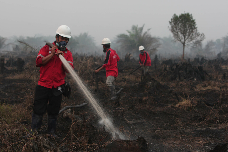 Haze choked not just Indonesia but also Southeast Asia in 2015. (JG Photo/Safir Makki)