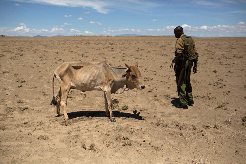 The number of hungry people in the world is rising again after years of decline, as millions suffer from the combined effects of conflict and climate change, the head of the UN food agency said on Monday (03/07). (Reuters Photo/Siegfried Modola)