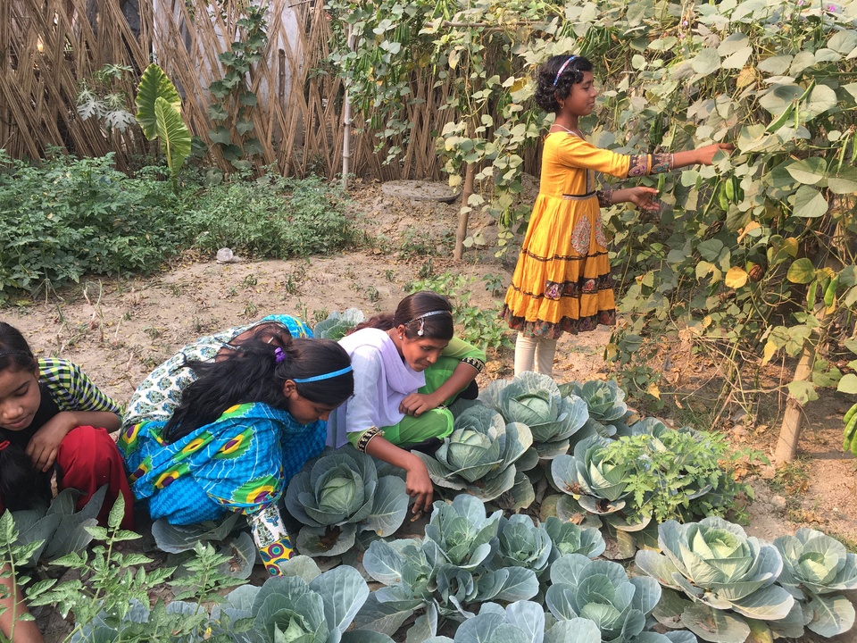 Young girls tend to vegetables they are growing as part of the Girls’ Project that teaches land literacy and helps prevent trafficking and early marriage in Charmahatpur village in West Bengal state, India (13/02). (Reuters Photo/Rina Chandran)