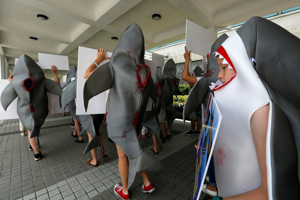 Protesters wearing shark costumes with the fins cut off surrounded a famous restaurant beside the Hong Kong harbor on Saturday (10/06), to demand it halt sales of shark fins, especially from threatened species, such as the whale shark.  (Reuters Photo/Bobby Yip)