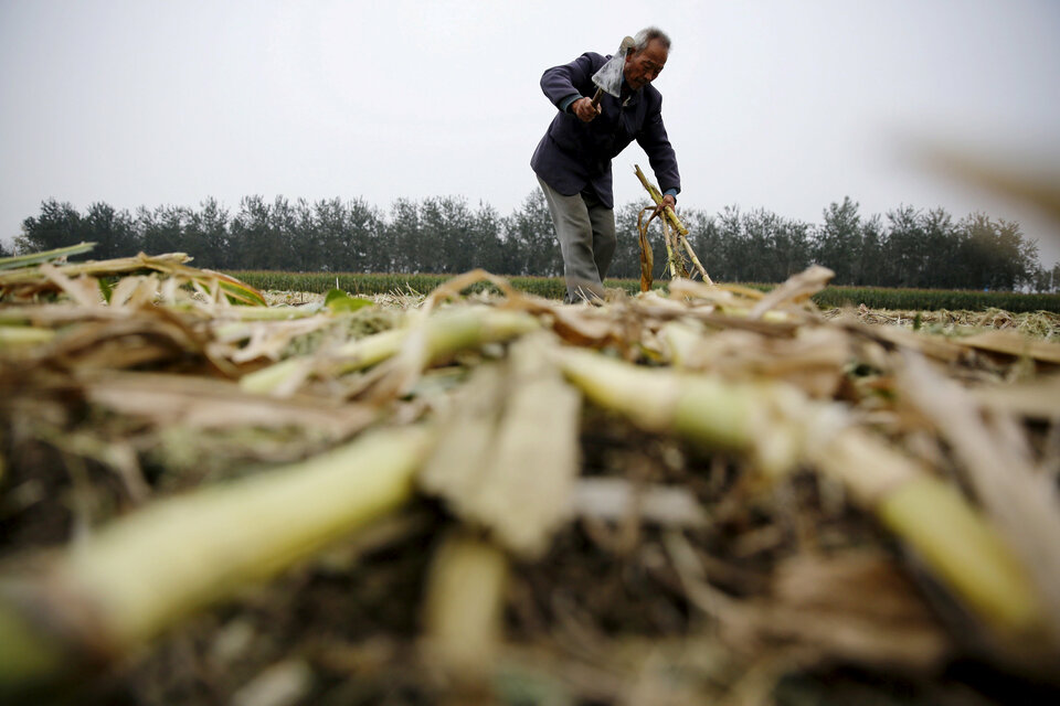 China's reform of its vast corn sector is spurring a rapid revival of cheaper high-fructose corn syrup, or HFCS, putting it on a collision course with Asian sugar producers in a battle for the lucrative sweetener market.(Reuters Photo/Kim Kyung-Hoon)
