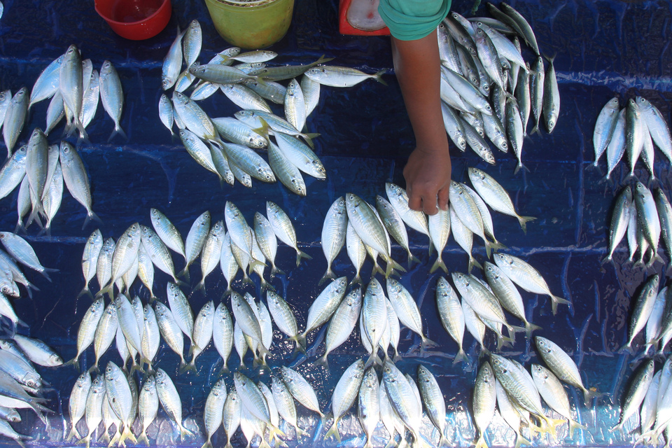 Pontianak in West Kalimantan will be one of the hosts for this year’s Nusantara Fish Festival and Fish Cooking Competition on Aug. 1. (Antara Foto/Syifa Yulinnas)