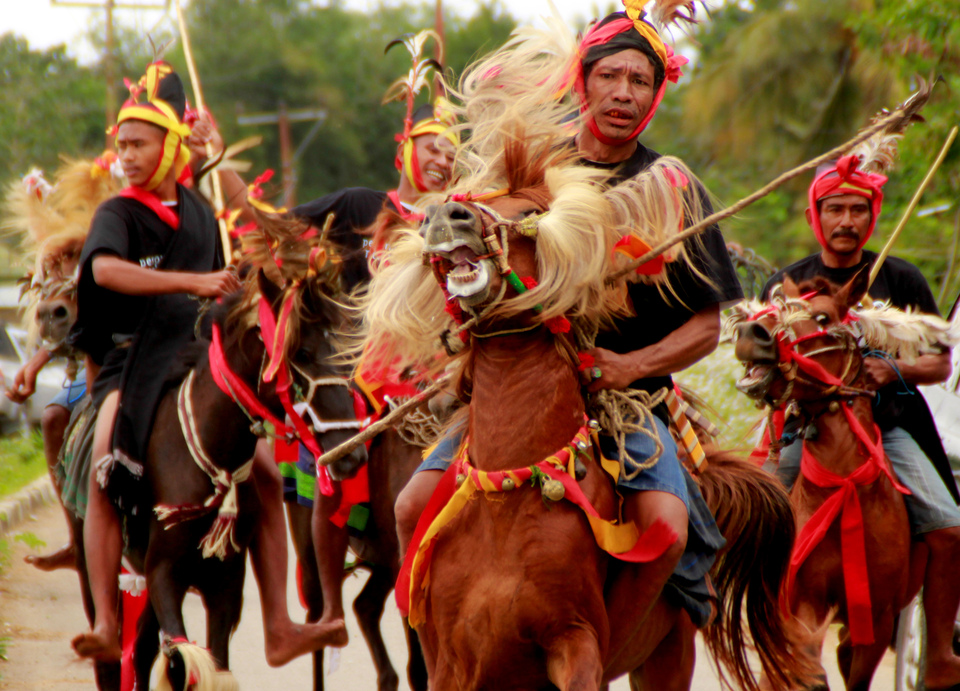 A street parade in Waibakul on the island of Sumba in East Nusa Tenggara on Thursday (06/07) incorporated 1001 horses. (Antara Photo/Kornelis Kaha)