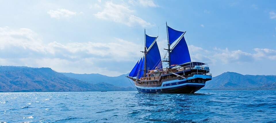 Fifty-eight international yachts participating in the 2017 Wonderful Sail 2 Indonesia arrived in Maumere, Sikka, East Nusa Tenggara, on Thursday (24/08). (Photo courtesy of the Ministry of Tourism)