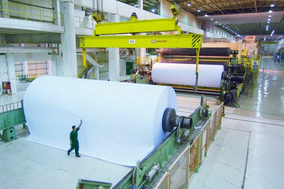 April Group has entered exclusive talks to acquire Brazilian pulp maker Lwarcel Celulose. (Photo courtesy of RAPP)