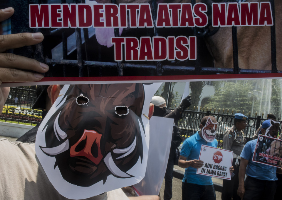 A protester holds up a banner with the words, 'suffering in the name of tradition,' during a demonstration outside the offices of the West Java provincial government in Bandung on Monday (23/10). Members of the Scorpion Indonesia Foundation, a wildlife trade monitoring group, participated in the action to demand a ban on the adu bagong tradition, which involves people forcing dogs and captured wild boars to fight to the death. (Antara Photo/Novrian Arbi)