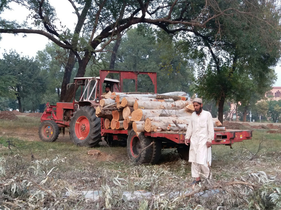 Workers load logs along Attaturk Avenue, near the prime minister’s office in Islamabad, where hundreds of trees have been cut to make way for expansion of the roadway, on Oct. 28. (Reuters Photo/Saleem Shaikh)