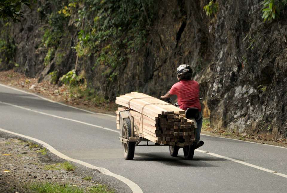 A motorized rickshaw rider transports processed wood on a national road in the Mount Geurute area of Lamno in Aceh Jaya district, Aceh, on Wednesday (13/12). Police in the area say illegal loggers have started using motorized rickshaws to distribute processed timber in an attempt to foil law enforcement efforts. (Antara Photo/Ampelsa)