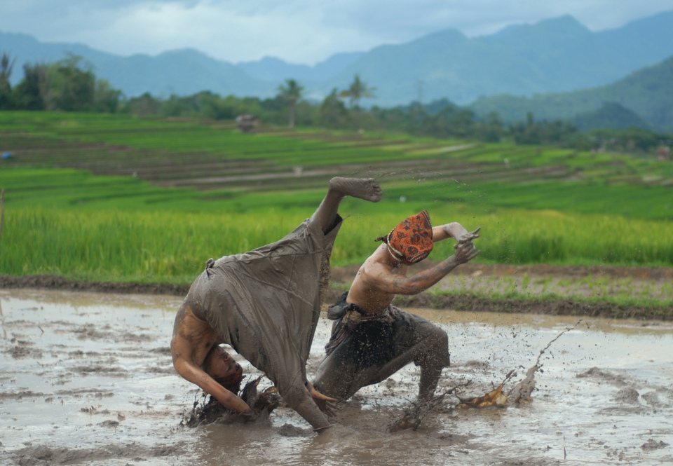 Silat martial arts fighters demonstrate 'Silek Bagoluk Lunau' moves in a paddy field in Payakumbuh, West Sumatra, on Saturday (02/12). (Antara Photo/Iggoy el Fitra)