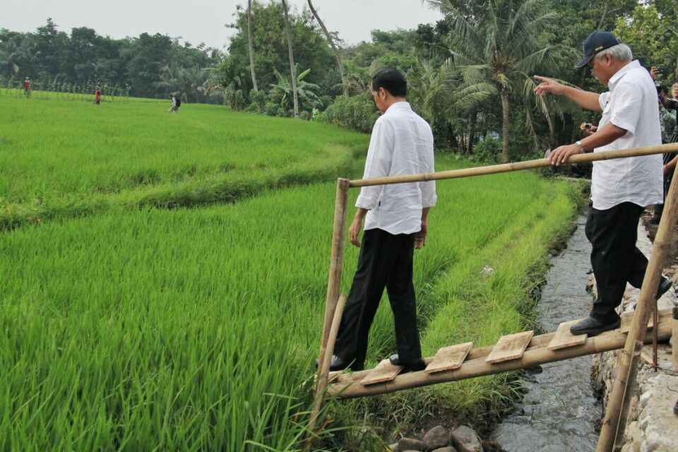 President Joko Widodo and Public Works Minister Basuki Hadimuljono check water supply flow for a rice field in Dukuhlo village in Tegal, Central Java, on Monday (15/01). (Photo courtesy of Public Works and Housing Ministry)