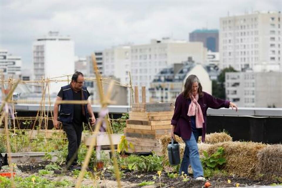 They may look small scale, but rooftop farms, vertical gardens and allotments could prove crucial in fighting hunger in urban areas, researchers said Wednesday (10/01). (Reuters Photo/Charles Platiau)