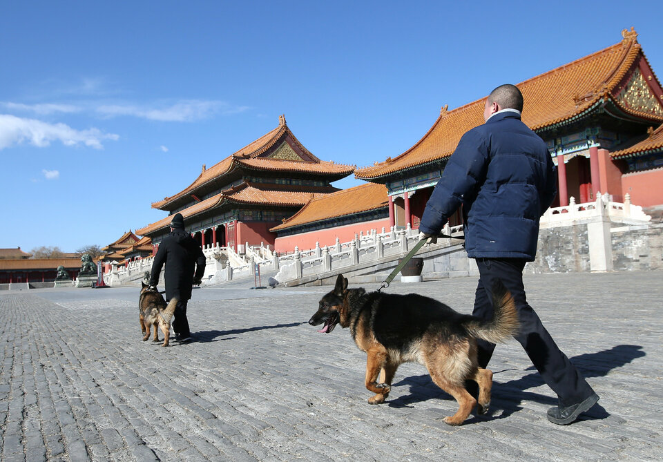 Security staff of canine patrol squad Zhang Yu (behind) and Chang Fumao patrol with guard dogs in front of the Hall of Supreme Harmony of the Forbidden City in Beijing on Monday (12/02). (Reuters Photo/Jason Lee)