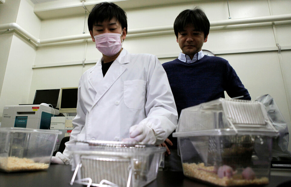 Professor of Yokohama National University, Junji Fukuda, right, and a researcher in his team, pose with mice in cages at their lab at Yokohama National University in Yokohama, Thursday (17/02). (Reuters Photo/Ha Kwiyeon)