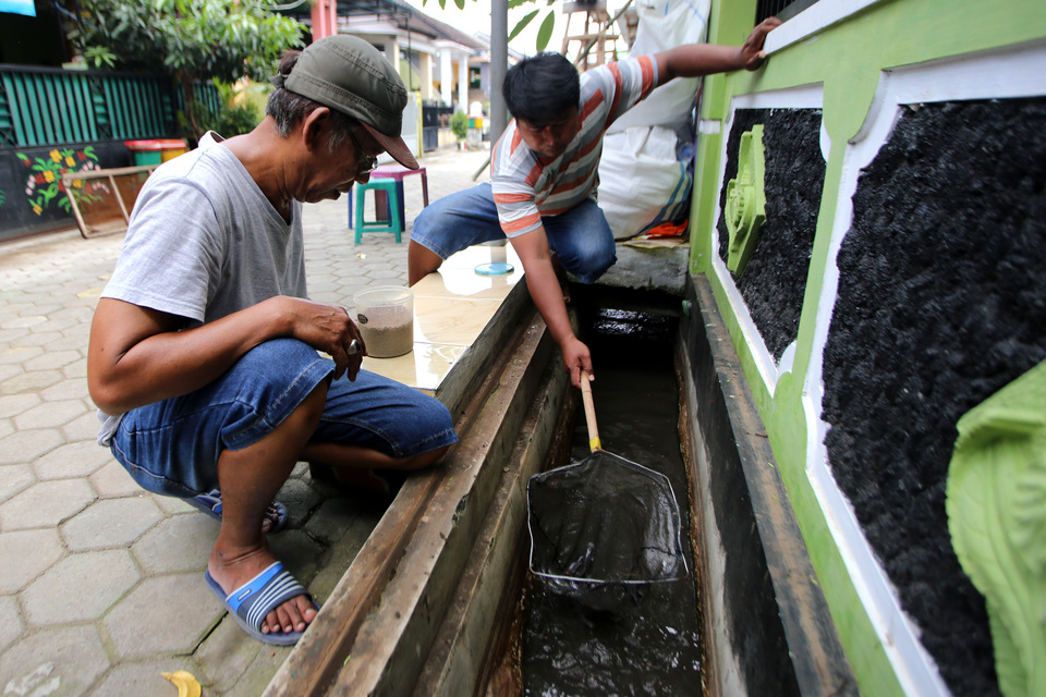 A resident cleans a waterway used to breed catfish in Banyuwangi, East Java, on Saturday (03/03). Catfish can help minimize dengue outbreaks as well as provide a hearty meal. (Antara Photo/Budi Candra Setya)

