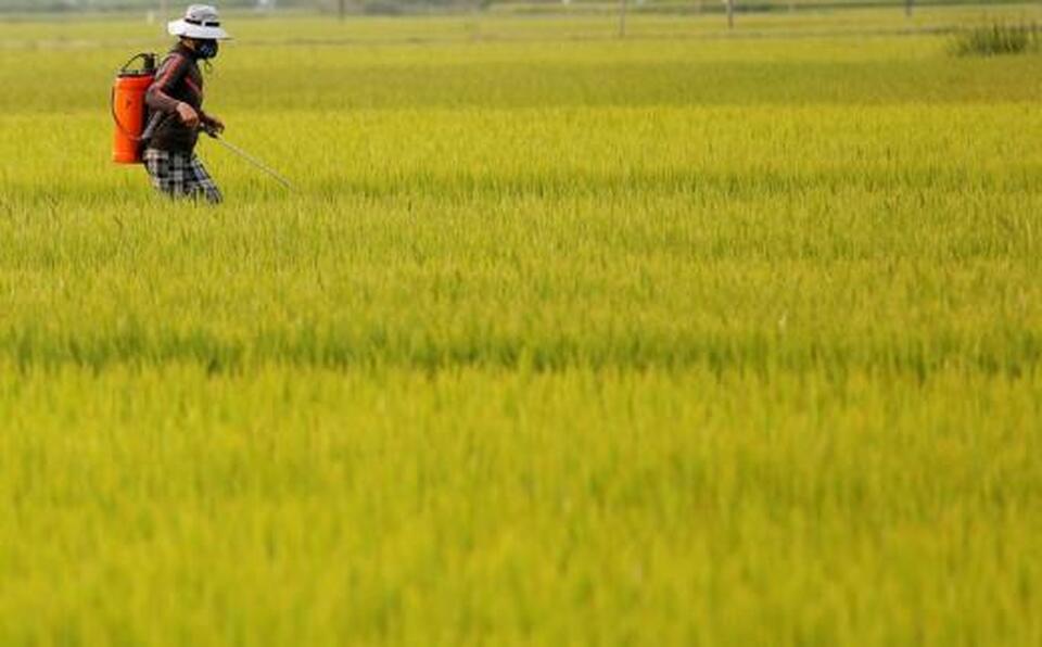 The World Bank is backing efforts to control agricultural pollution in East Asia as rising consumption and urbanization boost the region's food demand. (Reuters Photo/Kham)