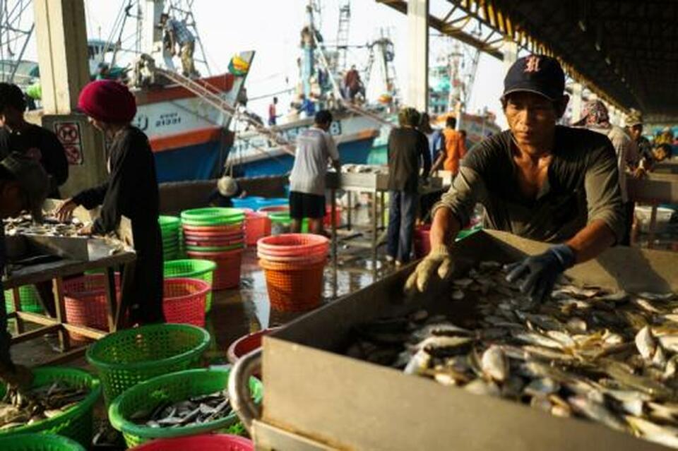 Thailand's fishing industry has made significant progress in curbing abuse, but measures to prevent rights violations must now be adopted in other sectors, and by Thai firms operating overseas, United Nations experts said on Wednesday (04/04). (Reuters Photo/Athit Perawongmetha)