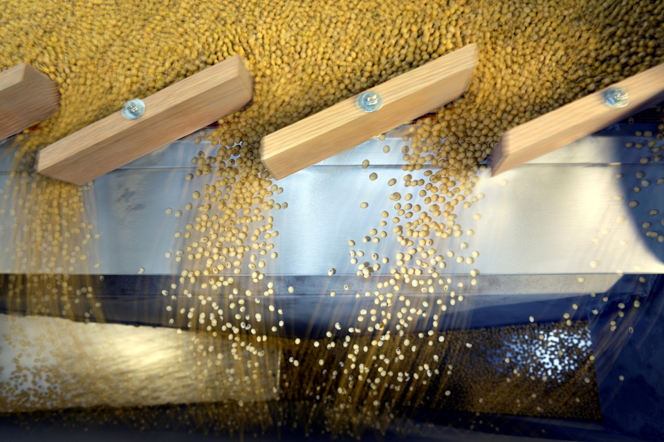 Soybeans being sorted according to their weight and density on a gravity sorter machine at Peterson Farms Seed facility in Fargo, North Dakota, US, December 6, 2017.  (Reuters Photo/Dan Koeck)