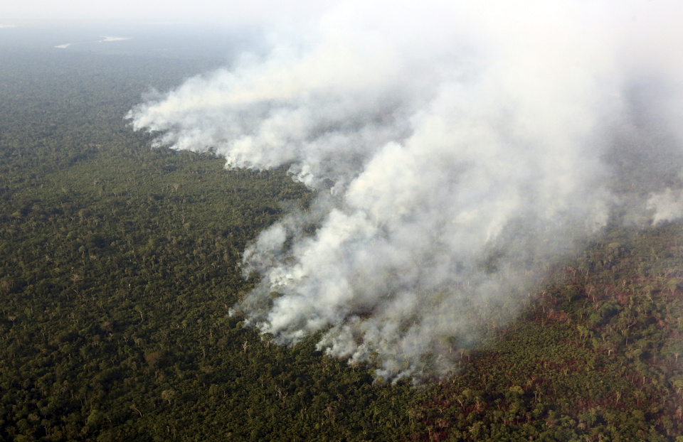 The world lost tree cover the size of Italy in 2017 as forests were cleared using fire to make way for farms from the Amazon to the Congo Basin. (Reuters Photo/Paulo Whitaker)