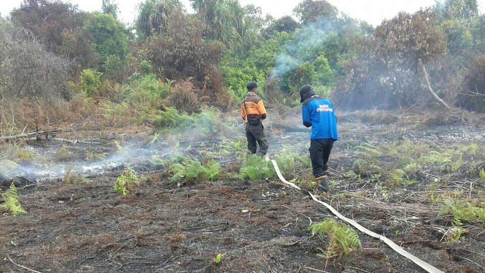 The Ministry of Environment and Forestry has renewed its commitment to combatting forest fires, as the resulting haze could potentially derail next month's Asian Games, co-hosted by Jakarta and Palembang, South Sumatra. (Photo courtesy of Environment and Forestry Ministry)