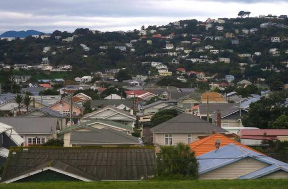 Residential houses are seen in Wellington, New Zealand. (Reuters Photo/David Gray)