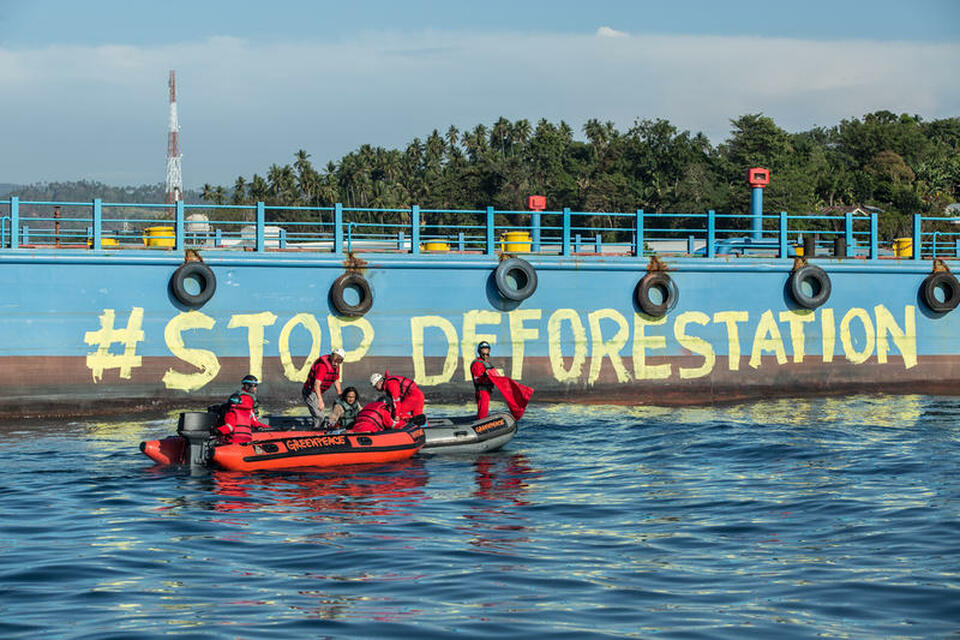 Greenpeace activist using water-based paint to write the words, 'Stop Deforestation Now' on the hull of a ship during a recent protest. (Photo courtesy of Greenpeace)