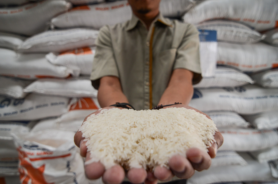 A worker of the State Logistics Agency (Bulog) inspects rice at a warehouse in Bandung, West Java, on Oct. 16, 2018. (Antara Photo)
