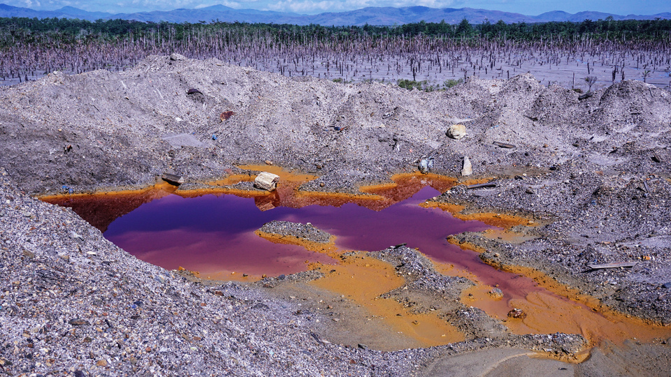 Mercury and cyanide used in illegal gold mining operations at Mount Botak on Buru Island, Maluku, contaminated and severely damaged a nearby 400,000-square-meter sago plantation on Wednesday. (Antara Photo/Rivan Awal Lingga)